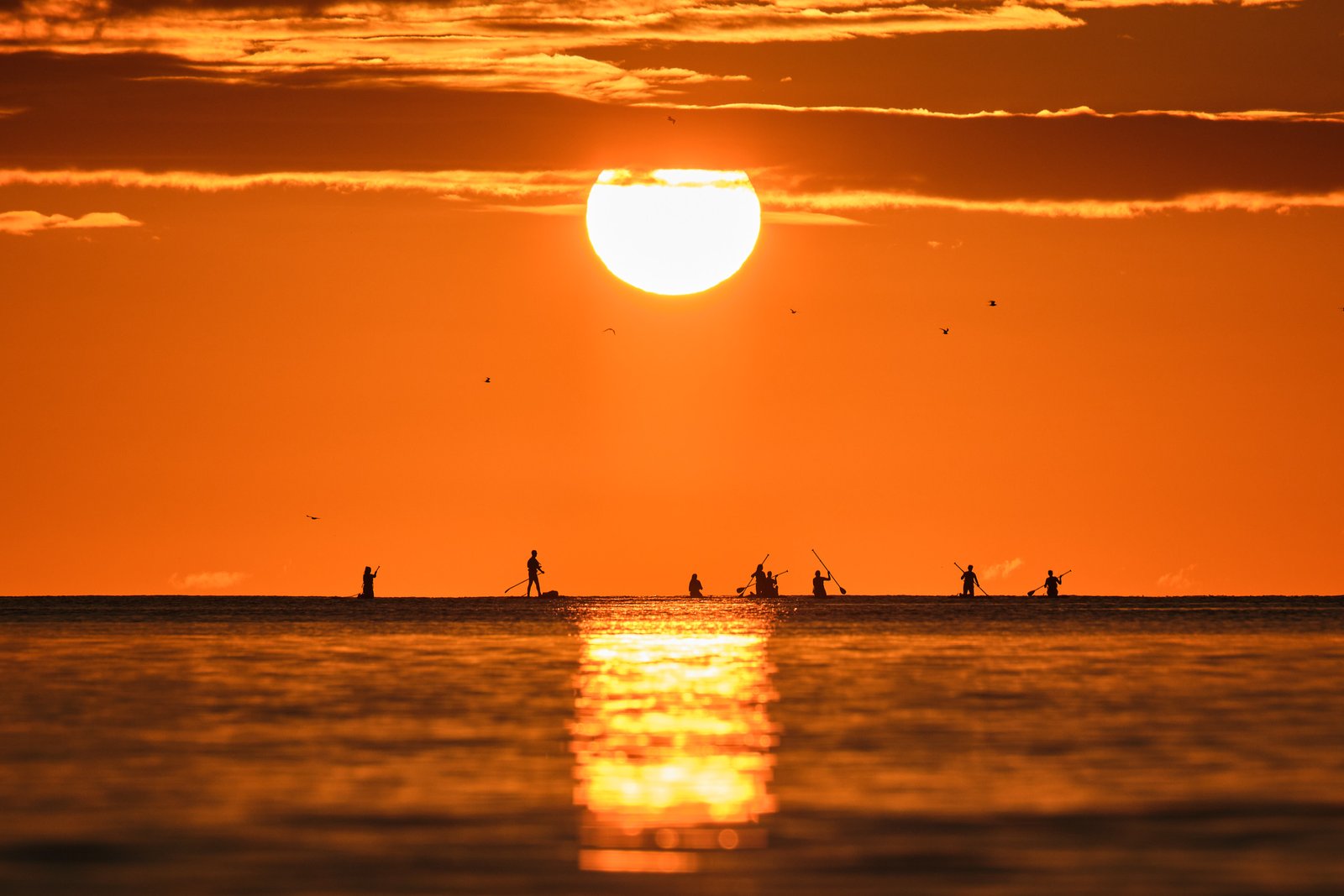 Paddleboarders silhouetted against a sunrise sky near Roker Pier