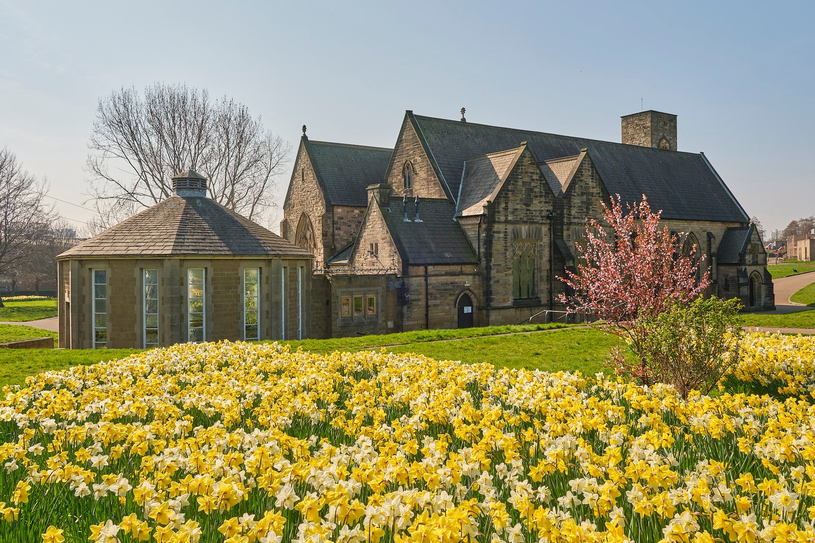 Daffodils blooming beside St Peter's Church, Monkwearmouth - March, Sunderland Calendar 2027
